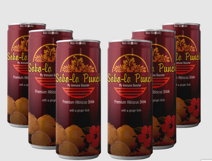 Premium Hibiscus Drink with a ginger kick - Sobo-lo Punch® 250ml x 6